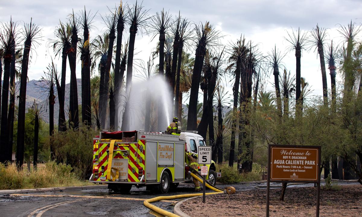 6334f2dbe9fa0.image.jpg 6334f2dbe9fa0.image.jpg